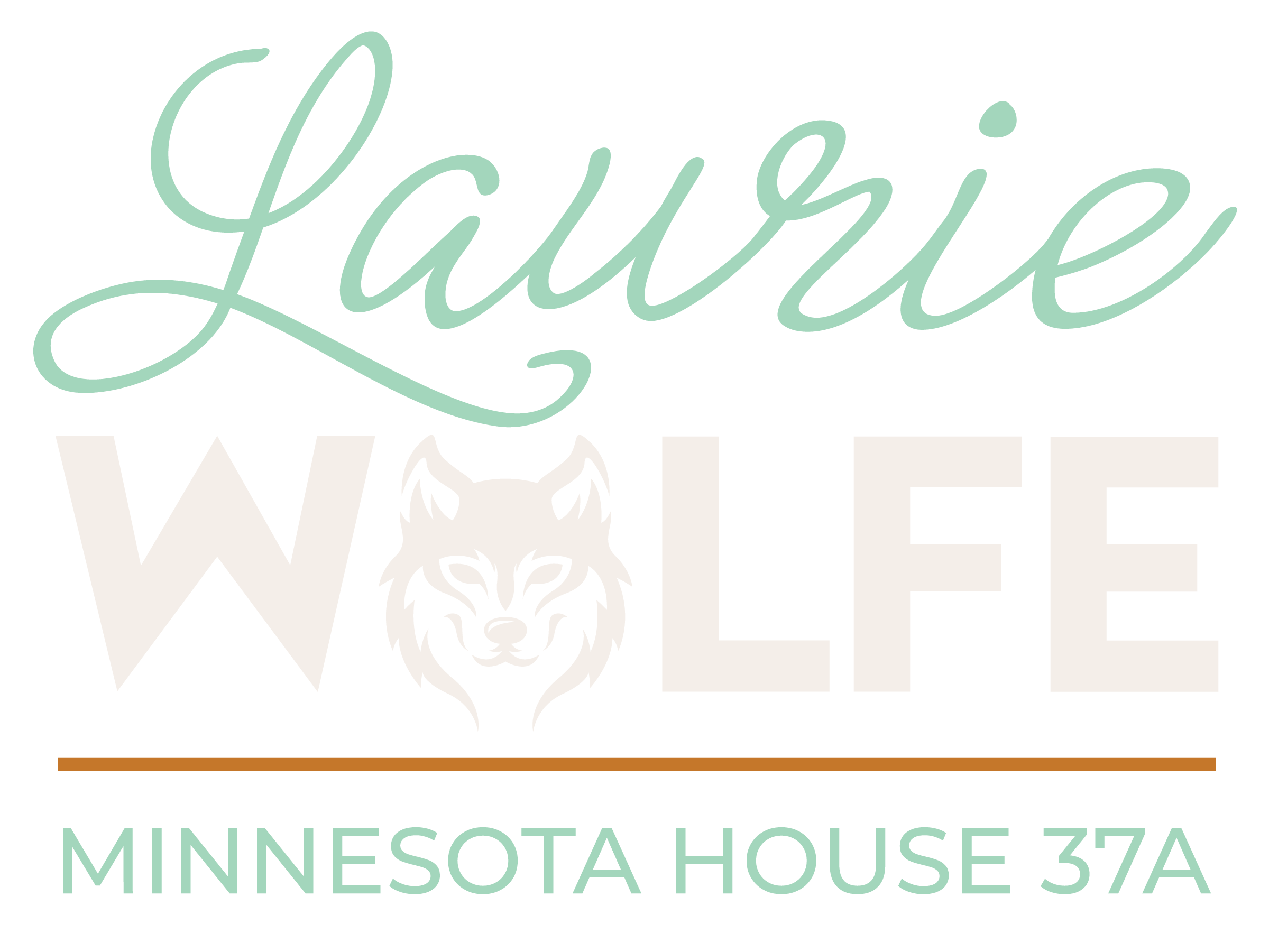Laurie Wolfe for Minnesota House 37A